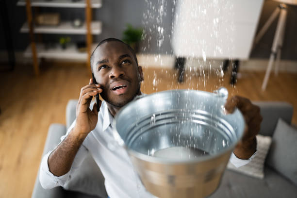 Best Carpet water damage restoration  in Whidbey Island Station, WA