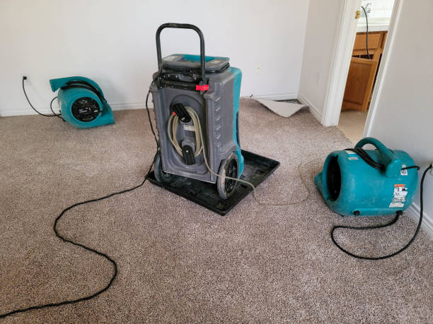 Best Water damage restoration cost  in Whidbey Island Station, WA