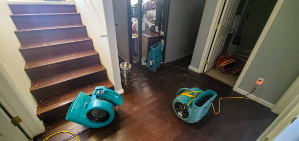 Best Sewage cleanup and water damage restoration  in Whidbey Island Station, WA