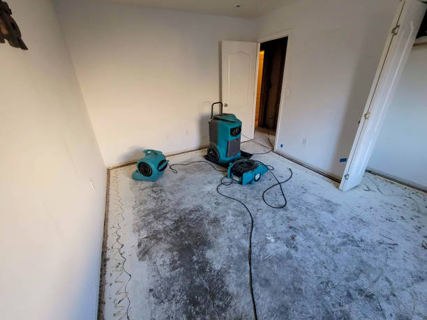 Best Water damage contractors near me  in Whidbey Island Station, WA