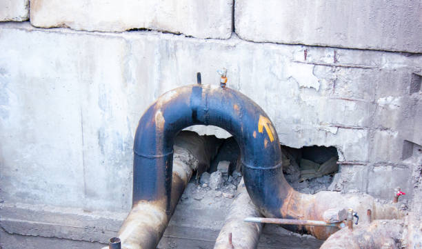 Best Water damage cleanup near me  in Whidbey Island Station, WA
