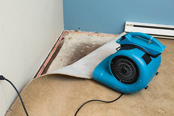 Best Water damage restoration specialists  in Whidbey Island Station, WA